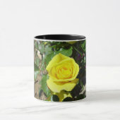 Gelbe Rosenblüte 4 Tasse (Zentrum)