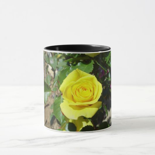 Gelbe Rosenblüte 4 Tasse (Zentrum)