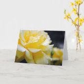 Gelbe Rosenblüte 5 Karte (Gelbe Blume)