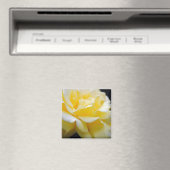 Gelbe Rosenblüte 5 Magnet (In Situ (Geschirrspüler))