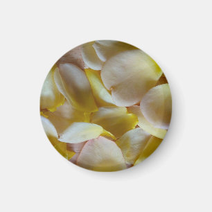 Gelbe Rosenblüten Magnet
