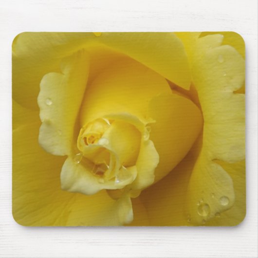 Gelbe Rosenbude Mousepad (Vorne)