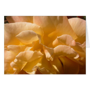 Gelbe Rosenkarte