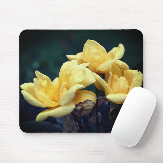 Gelbe Rosenknospe-Blume Mousepad (Mit Mouse)