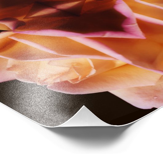 Gelbe Rosenknospe-Blume spiegelt Art Tinted 8x10 w Fotodruck (Ecke)