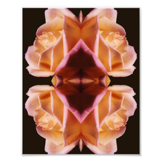 Gelbe Rosenknospe-Blume spiegelt Art Tinted 8x10 w Fotodruck (Vorne)
