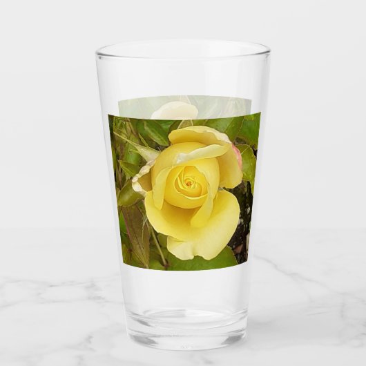 Gelbe Rosenknospe Glas (Vorderseite)