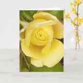 Gelbe Rosenknospe-Grußkarte Karte (Gelbe Blume)