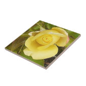 Gelbe Rosenknospe-Keramik Fliese (Seite)