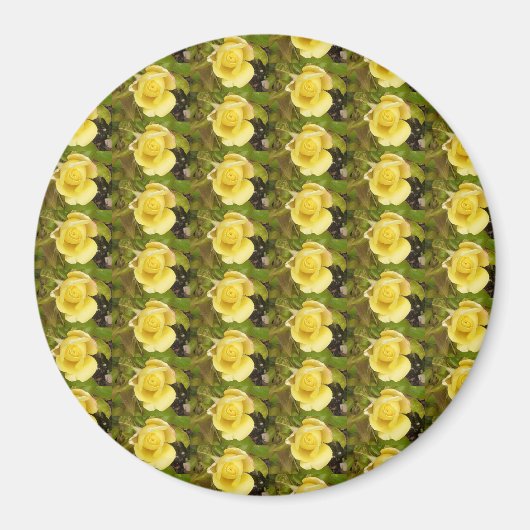 Gelbe Rosenknospe Magnet (Vorne)