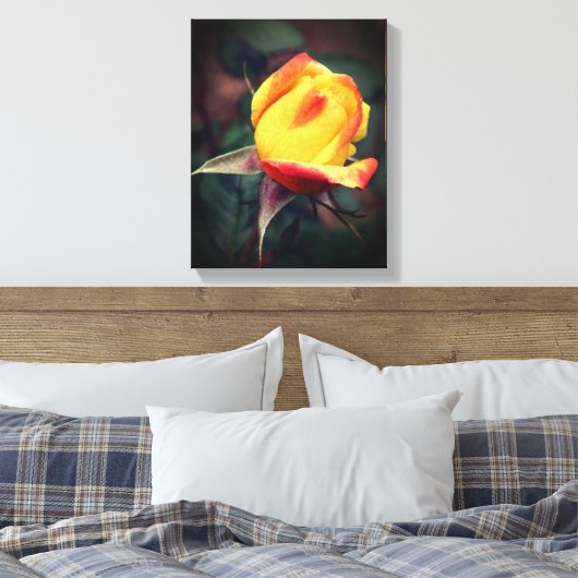 Gelbe Rosenknospe mit roten Highlights Leinwanddruck (Insitu (Schlafzimmer))