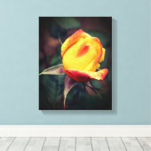 Gelbe Rosenknospe mit roten Highlights Leinwanddruck (Insitu (Holzboden))