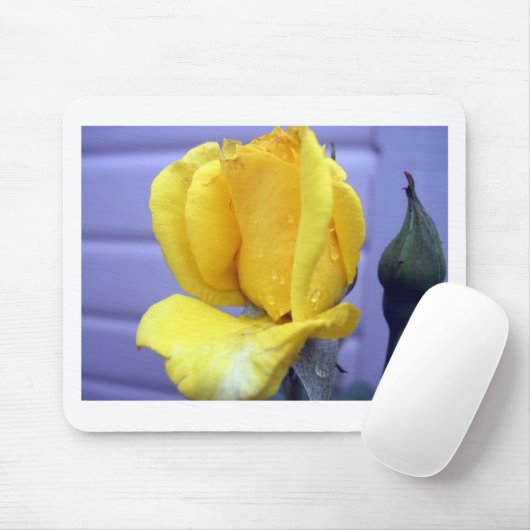 Gelbe Rosenknospe Mousepad (Mit Mouse)