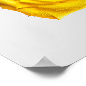 Gelbe Rosenkunst Poster (Ecke)