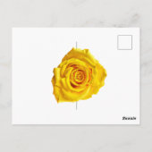 Gelbe Rosenkunst Postkarte (Rückseite)
