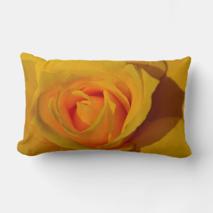 Gelbe Rosenorange Rose Romantische Rose Lendenkissen