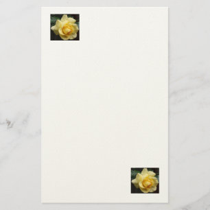 Gelbe Rosenplatte Briefpapier