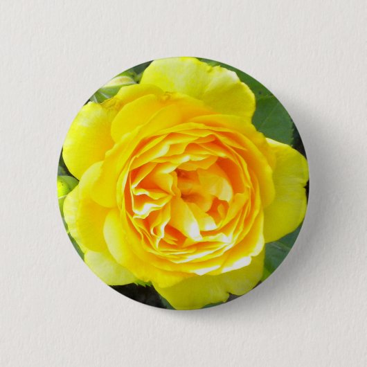 Gelbe Rosette Button (Vorderseite)