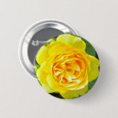 Gelbe Rosette Button (Vorne & Hinten)