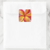 Gelbe Rote Plumeria Frangipani Hawaii Blume Quadratischer Aufkleber (Tasche)