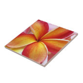 Gelbe rote Plumeriafrangipani-Hawaii-Blumen Fliese (Seite)