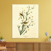 Gelbe Rote Umfrage Warbler Audubons Vögel Amerikas Leinwanddruck (Insitu (Wohnzimmer))