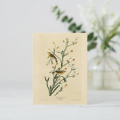 Gelbe Rote Umfrage Warbler Audubons Vögel Amerikas Postkarte (Stehend Vorderseite)