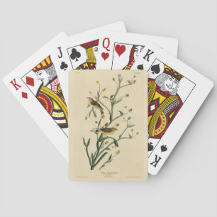 Gelbe Rote Umfrage Warbler Audubons Vögel Amerikas Spielkarten
