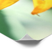 Gelbe Rudbeckia Blume Makro Abstrakt Poster (Ecke)