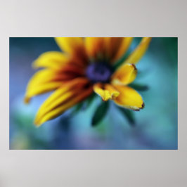 Gelbe Rudbeckia Blume Makro Abstrakt Poster