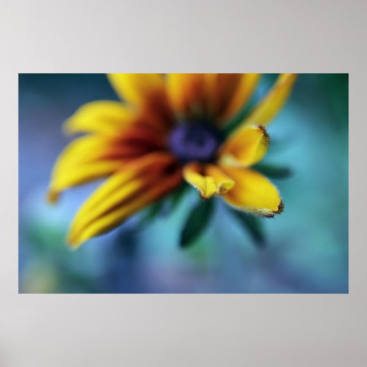 Gelbe Rudbeckia Blume Makro Abstrakt Poster (Vorne)