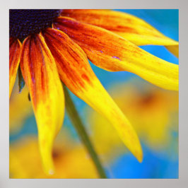 Gelbe Rudbeckia Blume Makro Abstrakt Poster