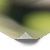 Gelbe Rudbeckia-Blume Poster (Ecke)