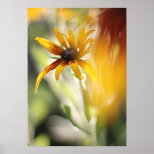 Gelbe Rudbeckia-Blume Poster (Vorne)