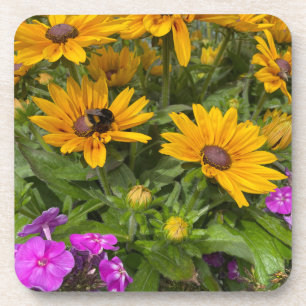 Gelbe Rudbeckia-Blume Rosa Phlox und Biene Getränkeuntersetzer