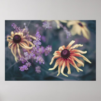 Gelbe Rudbeckie und Lila Lavendel Poster