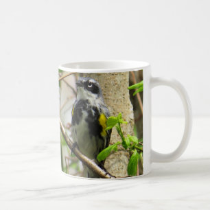 Gelbe-rumped Trällerer-Kaffee-Tasse Kaffeetasse