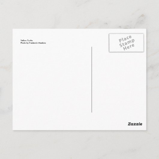 Gelbe Schildkröte Postkarte (Rückseite)