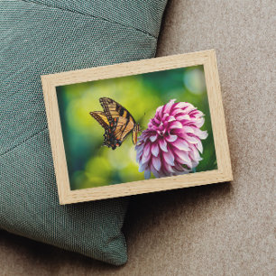 Gelbe Schmetterling auf rosa Dahlia Blume im Garte Poster