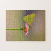 Gelbe Schmetterling auf rosa Zinnia-Blume Puzzle (Horizontal)