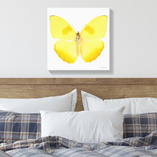 Gelbe Schmetterling Leinwanddruck (Insitu (Schlafzimmer))