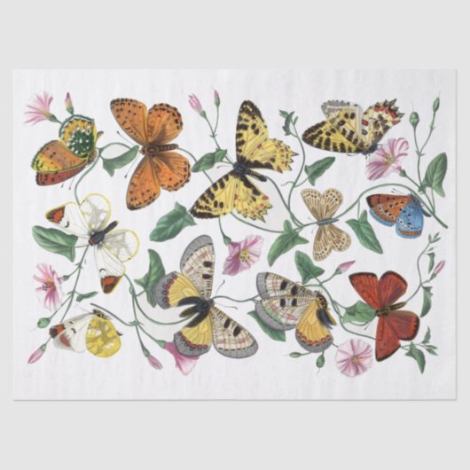 Gelbe Schmetterling Morning Glory Blumen Decoupage Seidenpapier (Vorderseite)
