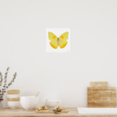 Gelbe Schmetterling Poster (Küche)