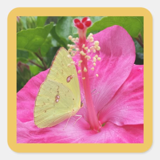 Gelbe Schmetterling und rosa Blume, viereckiger Au Quadratischer Aufkleber (Vorderseite)