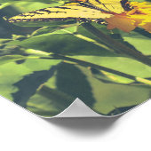 Gelbe Schmetterlinge und Blume Poster (Ecke)