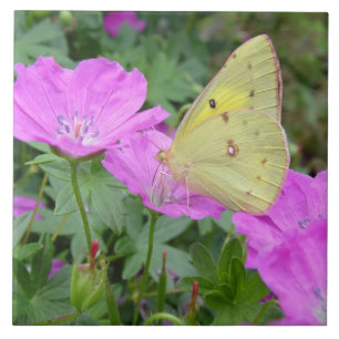 Gelbe Schmetterlings-Fliese Fliese