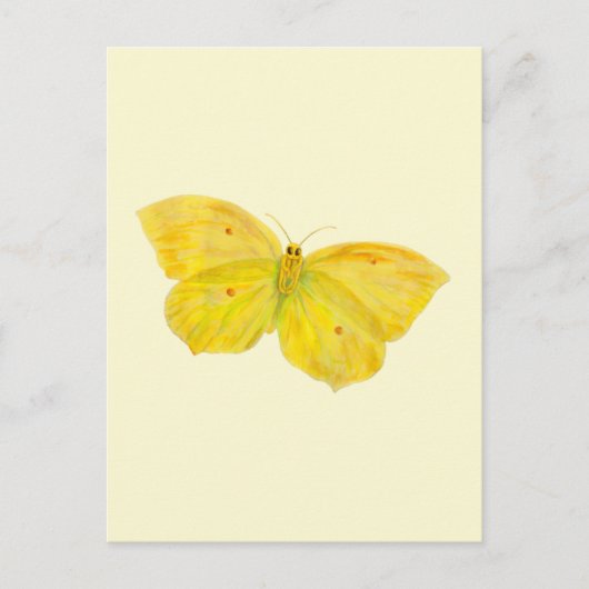 Gelbe Schmetterlingsfliege Feiertagspostkarte (Vorderseite)