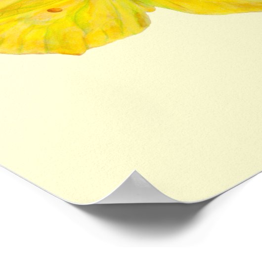 Gelbe Schmetterlingsfliege Poster (Ecke)