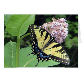 Gelbe Schmetterlingskarte (Vorlage)