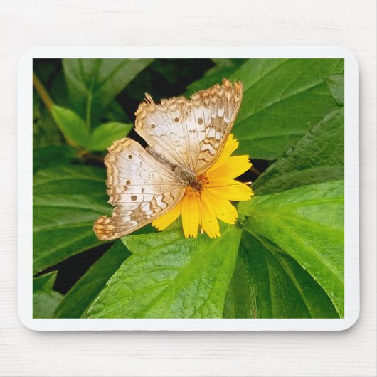 Gelbe Schmetterlingsmotte Mousepad (Vorne)